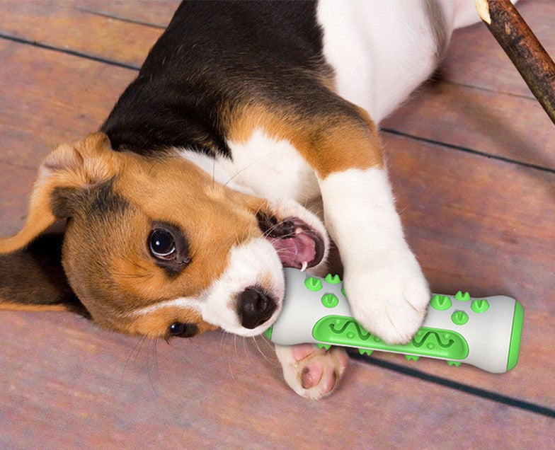 Hueso Cepillo Dental para Perros FreshTeeth™