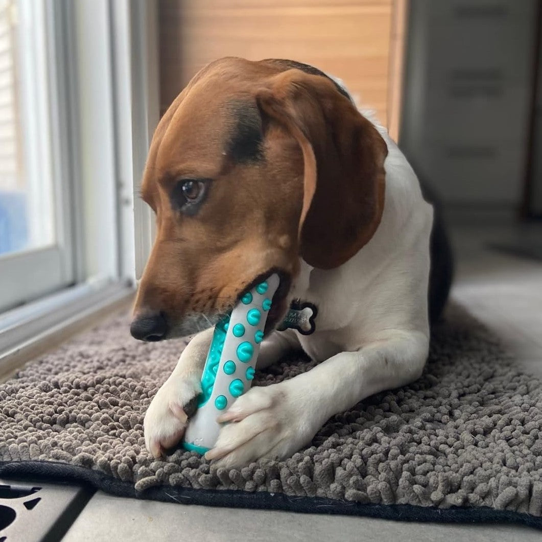 Hueso Cepillo Dental para Perros FreshTeeth™