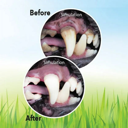 Hueso Cepillo Dental para Perros ChewBrush™