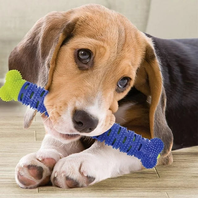 Hueso Cepillo Dental para Perros ChewBrush™