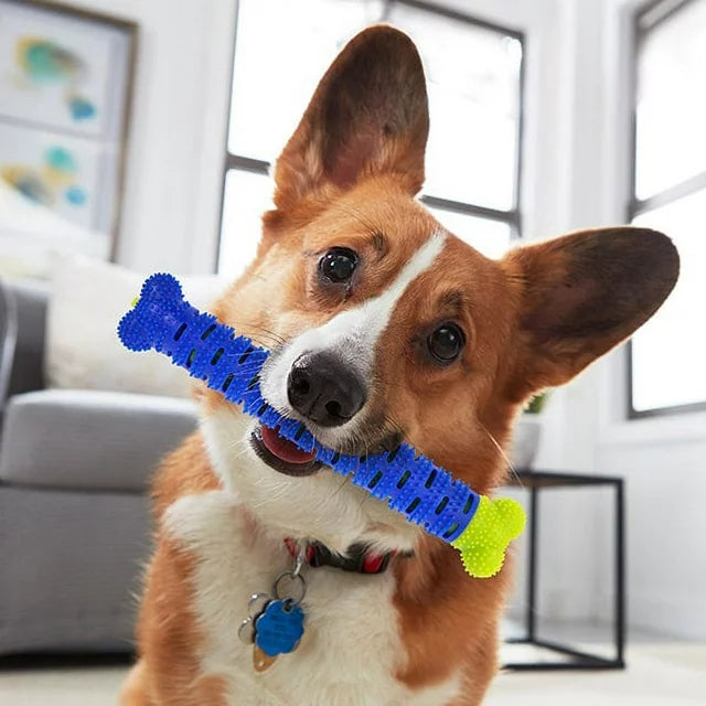 Hueso Cepillo Dental para Perros ChewBrush™